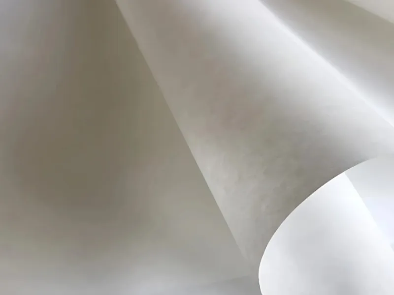 Überstreichbare Tapeten^PROFHOME NORMVLIES 150 g Renoviervlies glatte Vliestapete 1 Karton 6 Rollen Weiß 112,5 m2 25,05 m x 0,75 m 18,75 m2 Weiß