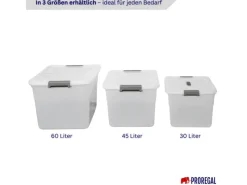 PROREGAL Aufbewahrungsbox Mit Deckel 30L 4er Set Klein Transparent Stapelbar Kunststoffbox Verschlussclips Stapelbox Aufbewahrungsbehälter Büro