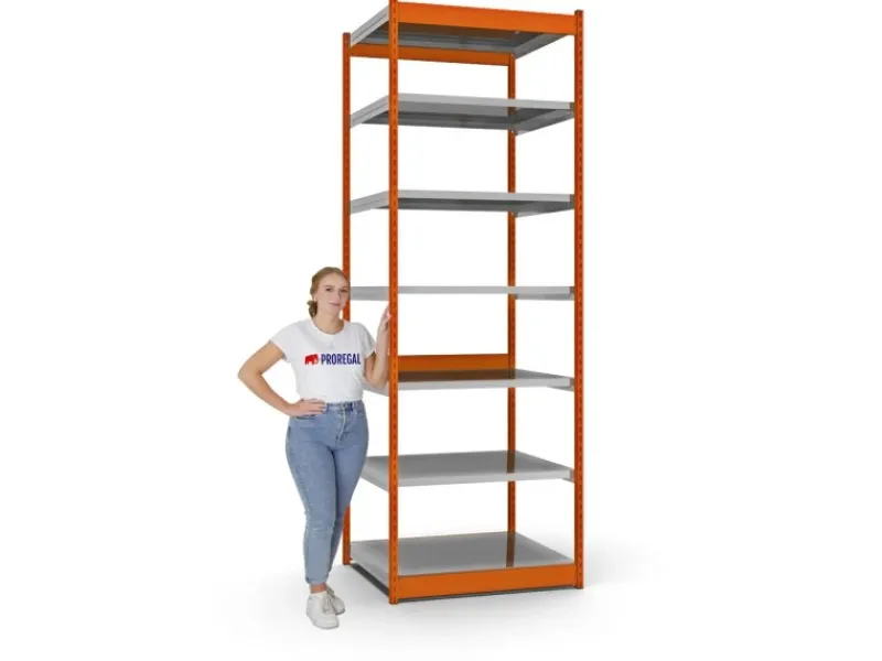 PROREGAL Büroregale^Fachbodenregal Stecksystem Vierkant-Profil Grundregal HxBxT 300 x 102,5 x 80 cm 7 Ebenen Einseitige Bauart Fachlast 200 kg