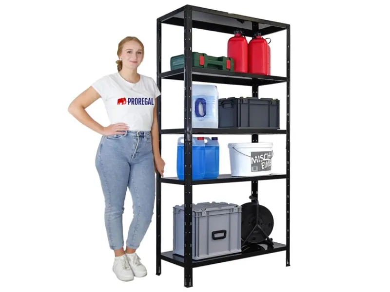 PROREGAL Regalsysteme^Schwerlastregal Ares HxBxT 180x90x40cm 5 Stahlplatten-Ebenen Fachlast 125 kg