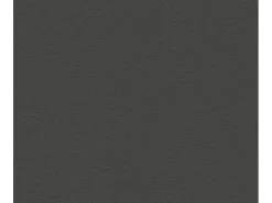 Regalbrett 200 cm x 40 cm x 1,6 cm