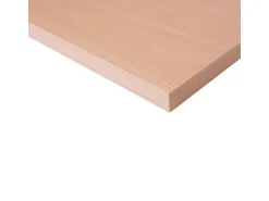 Regalbrett 80 cm x 40 cm x 1,6 cm