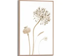 Bilder^Reinders Gerahmtes Bild Trockenblumen für Wohnzimmer 30 cm x 20 cm Beige