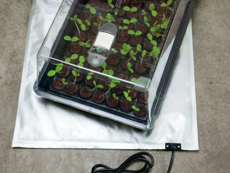 Romberg Terraristik^Heizmatte SkinnyHeat 115 195 Watt 115 cm x 115 cm