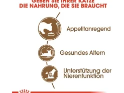 Royal Canin Katzenbedarf^Ageing 12+ Trockenfutter für ältere Katzen 0,4 kg
