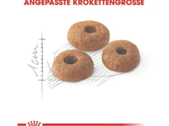 Royal Canin Fit Trockenfutter für aktive Katzen 2 kg