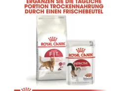 Royal Canin Fit Trockenfutter für aktive Katzen 2 kg
