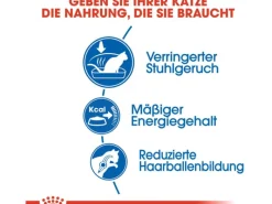 Royal Canin Stühle|Katzenbedarf^Indoor 27 Trockenfutter für Wohnungskatzen 4 kg