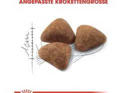 Royal Canin Stühle|Katzenbedarf^Indoor 27 Trockenfutter für Wohnungskatzen 4 kg