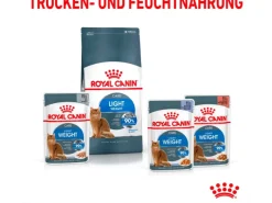Royal Canin Light Weight Care Trockenfutter zu Übergewicht Neigenden Katzen 3 kg