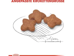 Royal Canin Hundebedarf^Mini Adult 8+ Trockenfutter Ältere Kleine Hunde 2 kg