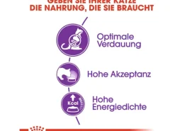 Royal Canin Katzenbedarf^Sensible Trockenfutter für sensible Katzen 10 kg