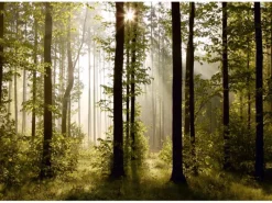 Sanders & Sanders Fototapete Bewaldete Landschaft Grün 360 x 270 cm 600416