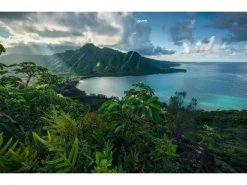 Sanders & Sanders Fototapete Tropische Insel Grün und Blau 450 x 280 cm 612698