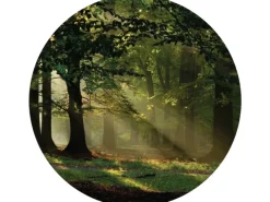 Sanders & Sanders Selbstklebende Runde Tapete Bewaldete Landschaft Grün Ø 140 cm 601134