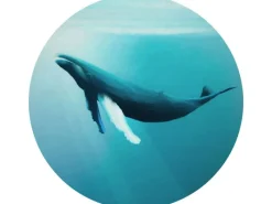 Sanders & Sanders Wandtattoos^Selbstklebende Runde Tapete Wal Türkis Ø 125 cm 611797