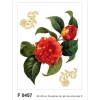 Sanders & Sanders Wandtattoo Blumen Rot und Grün 65 x 85 cm 600258