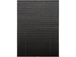 Schöner Wohnen Kollektion Schöner Wohnen Plissee Milla 100 cm x 130 cm