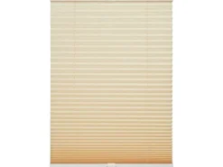 Schöner Wohnen Kollektion Schöner Wohnen Plissee Milla 80 cm x 220 cm