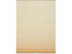 Schöner Wohnen Kollektion Plissees^Schöner Wohnen Plissee Milla 60 cm x 130 cm