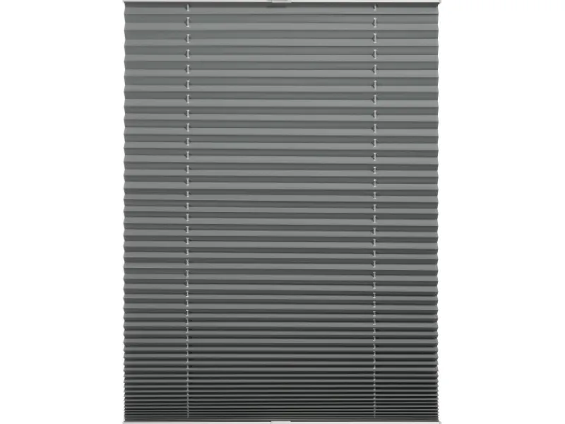 Schöner Wohnen Kollektion Plissees^Schöner Wohnen Thermo-Plissee Ella 120 cm x 130 cm