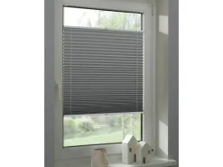 Schöner Wohnen Kollektion Plissees^Schöner Wohnen Thermo-Plissee Ella 60 cm x 130 cm