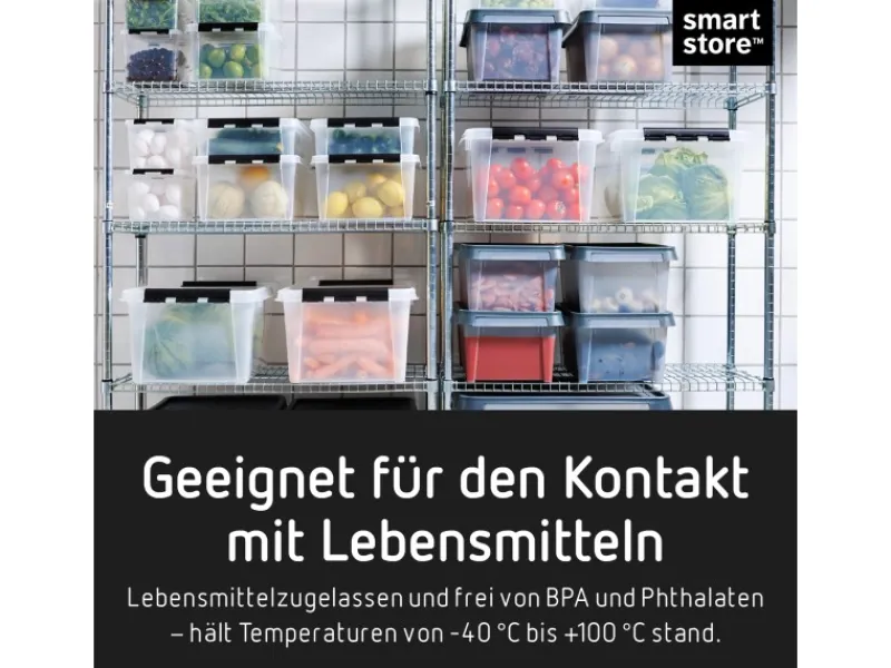 SmartStore Stifte^Aufbewahrungsbox Classic mit Deckel 2 l