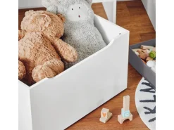 SoBuy Aufbewahrung|Regal Weiß^Bücherregal für Kinder Kinderregal mit 2 Boxen Aufbewahrungsregal KMB71-W