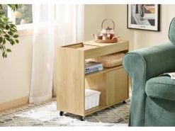 SoBuy Beistelltisch Couchtisch mit Rollen Druckertisch Aktenschrank FBT152-N