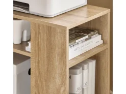 SoBuy Beistelltisch mit Rollen Couchtisch mit Ablagefächern Druckerregal FBT34-N