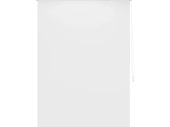 Tageslicht-Rollo Zamora 120 cm x 175 cm