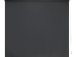 Rollos|Raffrollos^Tageslicht-Rollo Zamora 120 cm x 175 cm