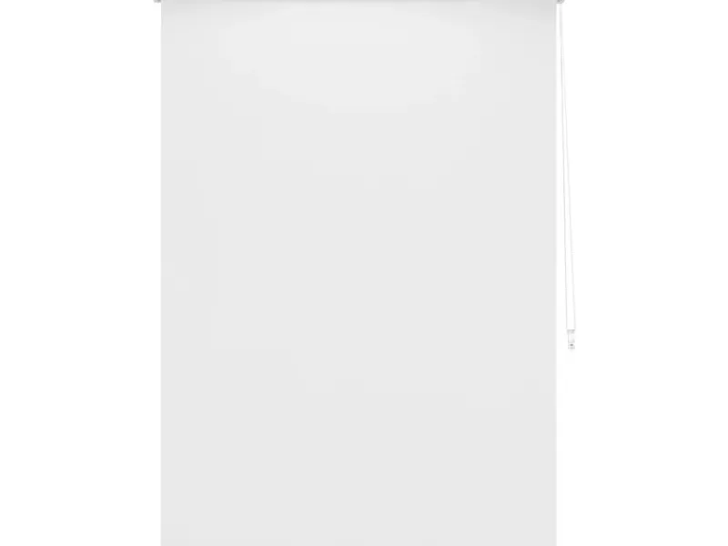 Raffrollos^Tageslicht-Rollo Zamora 100 cm x 175 cm