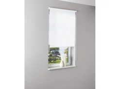 Raffrollos^Tageslicht-Rollo Zamora 100 cm x 175 cm