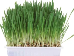 Trixie Nager-Snack Kleintiergras 100 g