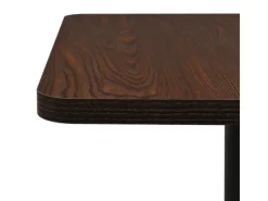 Tische^vidaXL BistRotisch Dunkle Esche 50x50x107 cm