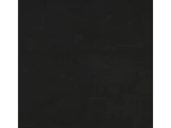 Sofas^vidaXL Chesterfield-Sofa mit Nackenrollen 2-Sitzer Schwarz Samt 2144771