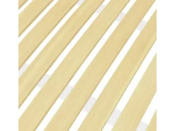 vidaXL Lattenrost mit 24 Latten 120x200 cm1123464