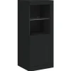 vidaXL Sideboard mit LED-Leuchten Schwarz 41x37x100 cm 836645
