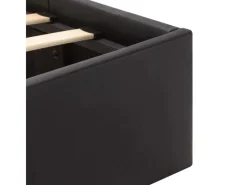 Betten^vidaXL Stauraumbett Hydraulisch mit LED Schwarz Kunstleder 160x200 cm619306