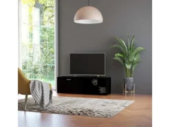 Wohnwände^vidaXL TV-Schrank Schwarz 120x34x37 cm Holzwerkstoff Modell 1