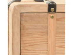 vidaXL TV-Schrank 110x33x35 cm Massivholz Tanne