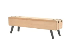 vidaXL TV-Schrank 110x33x35 cm Massivholz Tanne