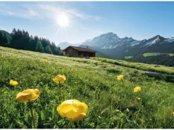 Komar Fototapeten^Vlies Fototapete Alpenglück 400x280 cm