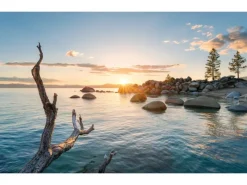 Komar Fototapeten^Vlies Fototapete Final Light 450x280 cm