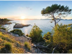 Komar Fototapeten^Vlies Fototapete Licht des Südens 400x280 cm