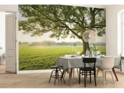 Komar Vlies Fototapete The Magic Tree 450x280 cm