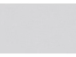 Erfurt Überstreichbare Tapeten^Vliesfaser Basic 101