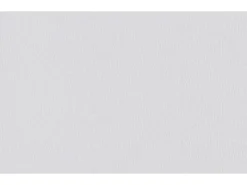 Erfurt Vliesfaser Protect 213