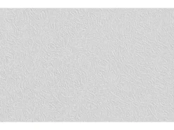 Erfurt Vliesfaser Protect 209